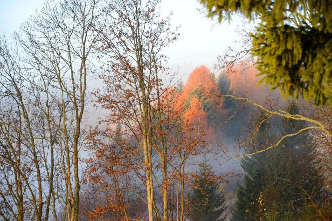 Gluehwuermchenhuette Villa Ratten Bagian luar foto