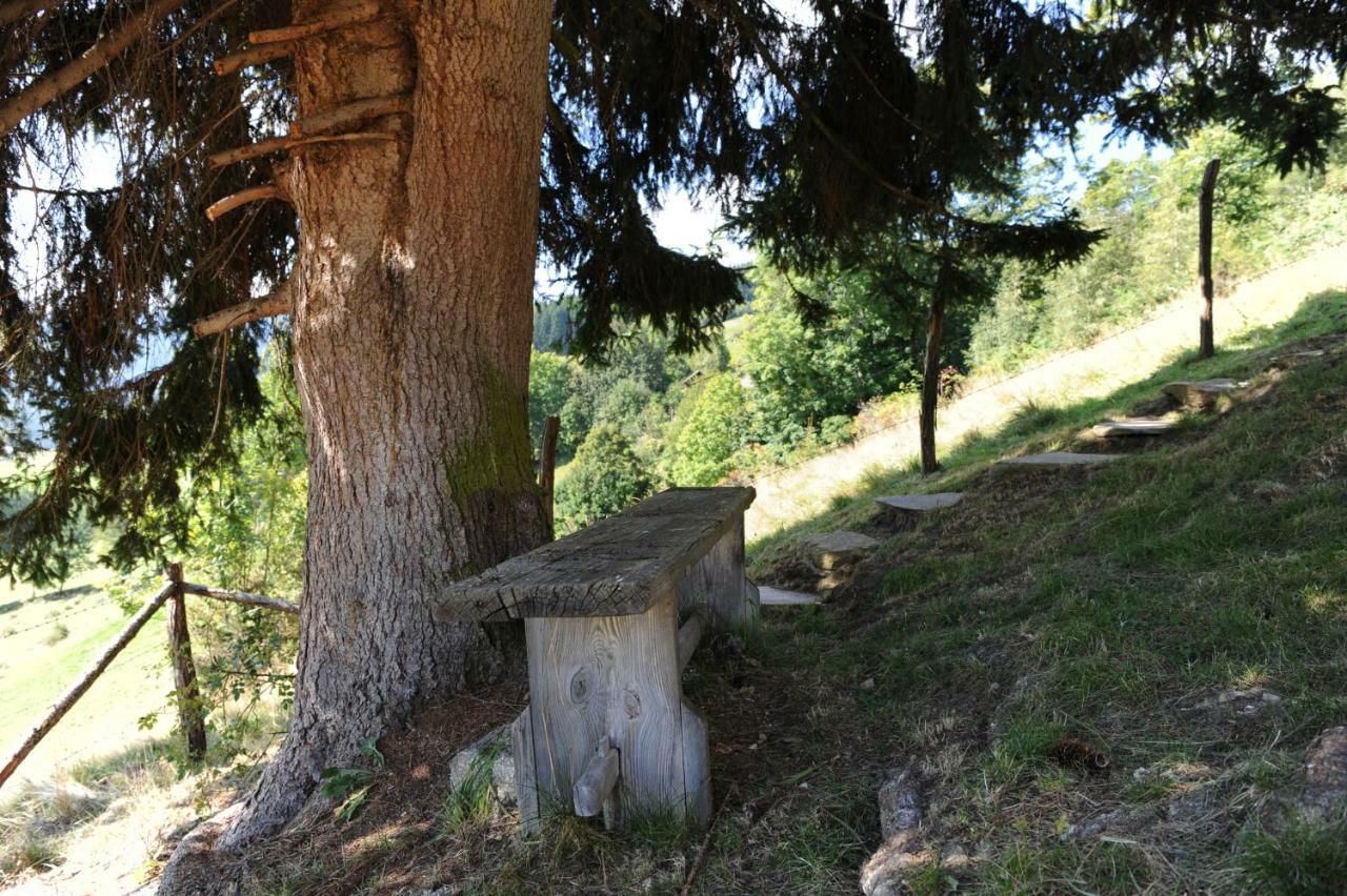 Gluehwuermchenhuette Villa Ratten Bagian luar foto