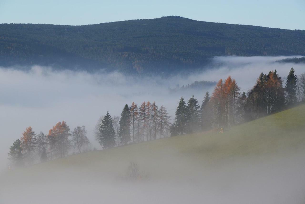 Gluehwuermchenhuette Villa Ratten Bagian luar foto