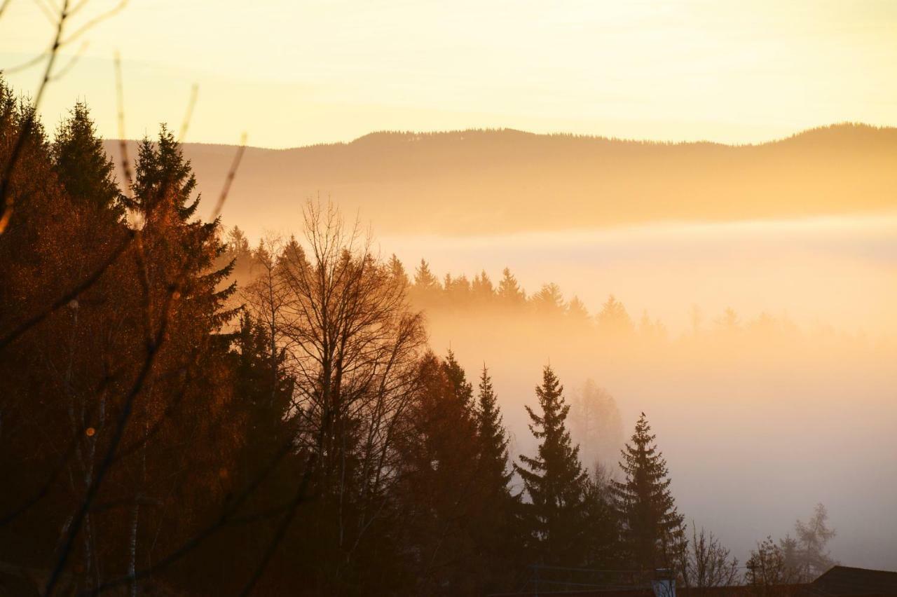 Gluehwuermchenhuette Villa Ratten Bagian luar foto